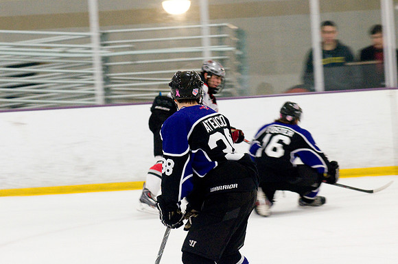 Brahmas