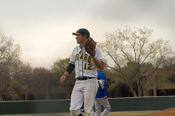 "Alexander Anderson" "Brookhaven College" Baseball