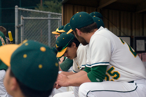 baseball, brookhaven college, bears