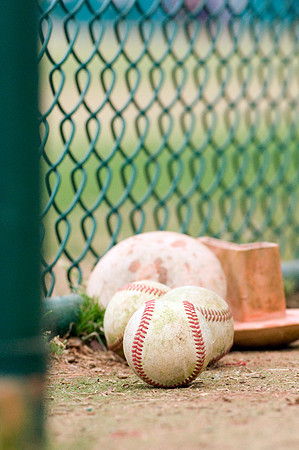 baseball, brookhaven college, bears