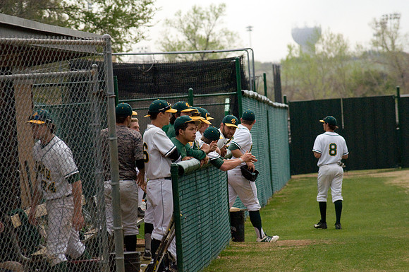 baseball, brookhaven college, bears