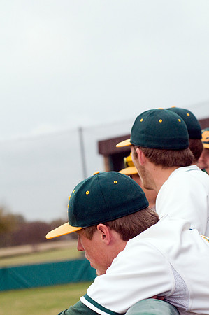 baseball, brookhaven college, bears