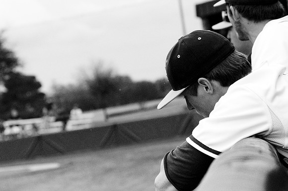 baseball, brookhaven college, bears