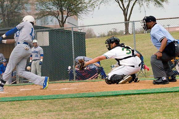 baseball, brookhaven college, bears