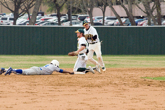 baseball, brookhaven college, bears