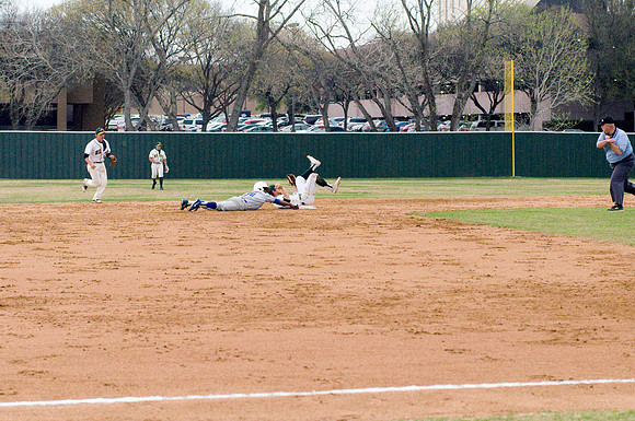 baseball, brookhaven college, bears