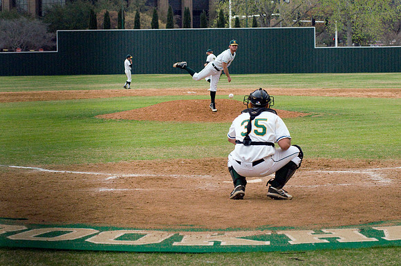 baseball, brookhaven college, bears