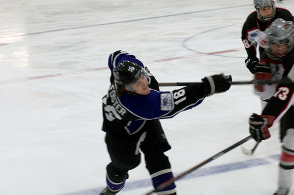 Brahmas
