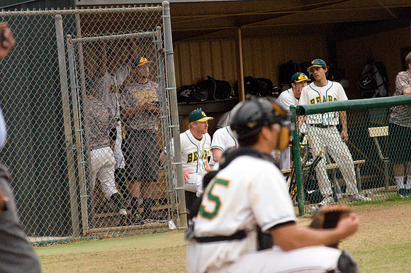 baseball, brookhaven college, bears