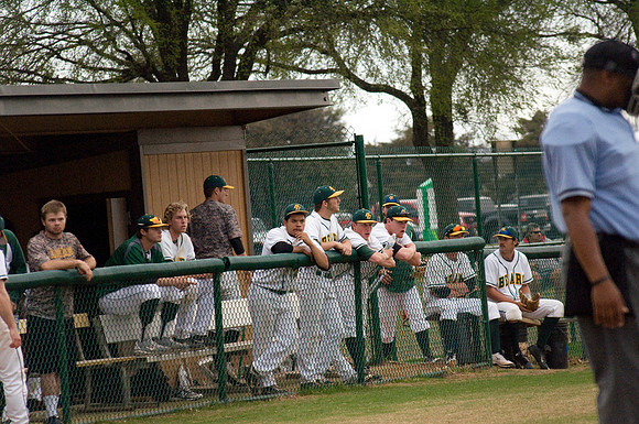 baseball, brookhaven college, bears