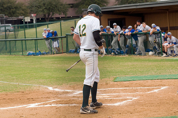 "Alexander Anderson" "Brookhaven College" Baseball
