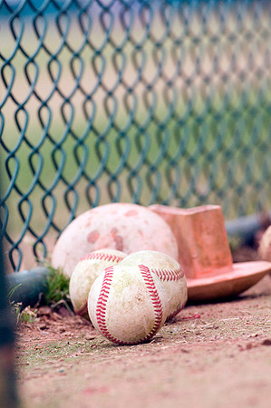 baseball, brookhaven college, bears