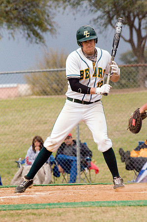 "Alexander Anderson" "Brookhaven College" Baseball