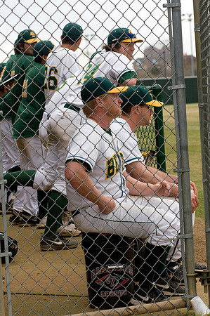 baseball, brookhaven college, bears