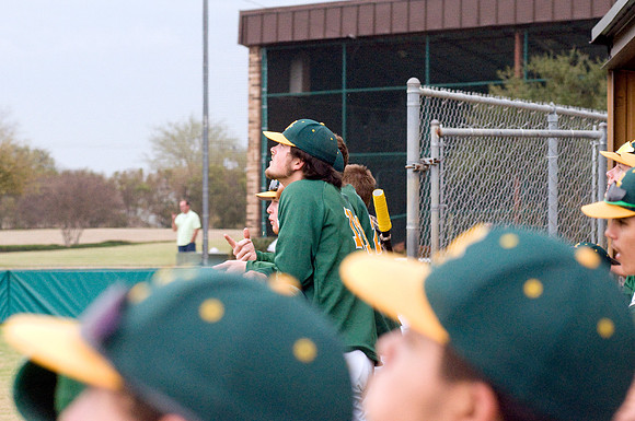 baseball, brookhaven college, bears