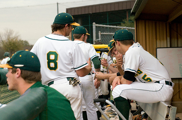baseball, brookhaven college, bears