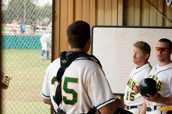 baseball, brookhaven college, bears