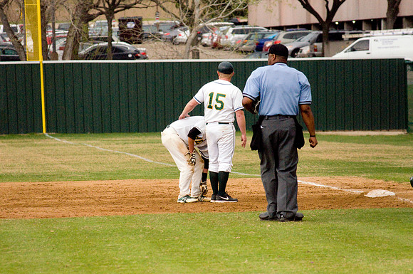 baseball, brookhaven college, bears